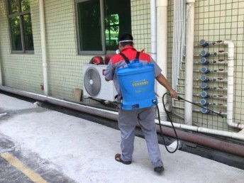 深圳臭蟲防治 工廠、宿舍、辦公室與家庭全面消殺指南